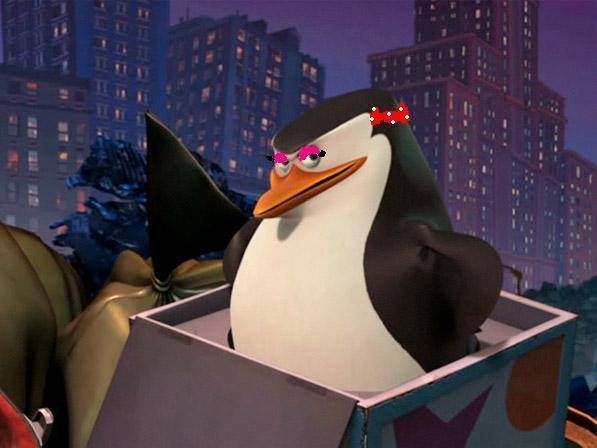 Las Vegas Gas Prices >> denisblogs: THE PINGUIN OF MADAGASCAR Las Vegas Gas Prices >> denisblogs: THE PINGUIN OF MADAGASCAR