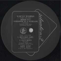 icicle works fly birds whisper scream 1983 mcnabb ian