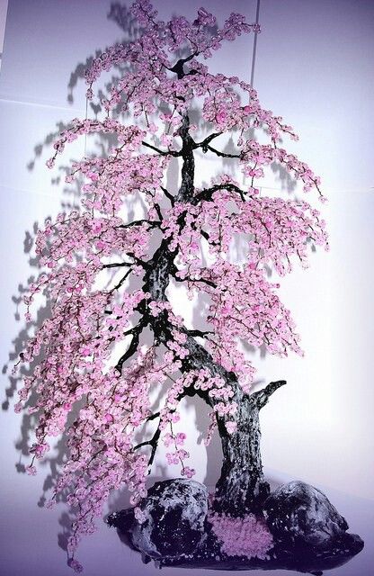 60 My Favorite Beautiful list of Trees for Bonsai [pics]