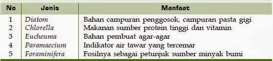 Beberapa Spesies Protista yang Bermanfaat Beberapa Spesies Protista yang Bermanfaat