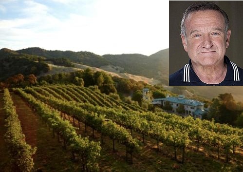 Robin Williams