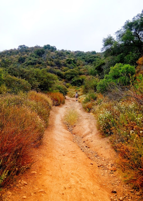 Caballero Canyon Trail Caballero Canyon Trail Topanga State Park, Reseda Blvd, Tarzana, CA