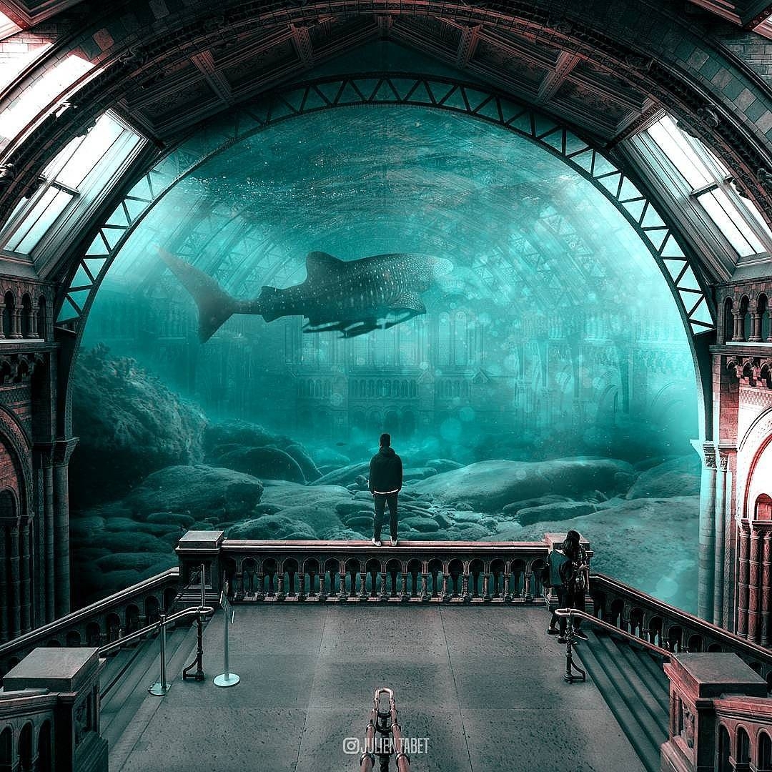 Design Stack A Blog about Art, Design and Architecture Animals and