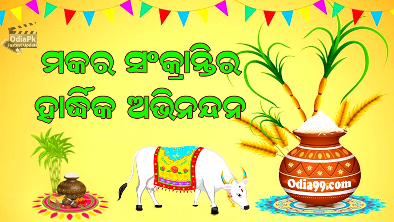 Happy Makar Sankranti 2024 Odia Wishes Photo, Shayari, Essay PDF - Odia99