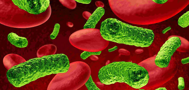 Bacterias y biologia celular