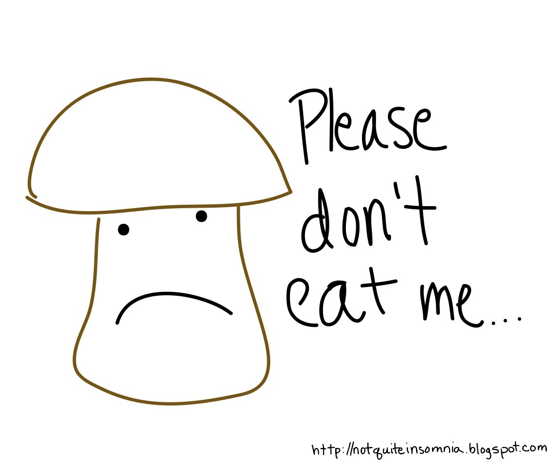 Not Quite Insomnia mushrooms