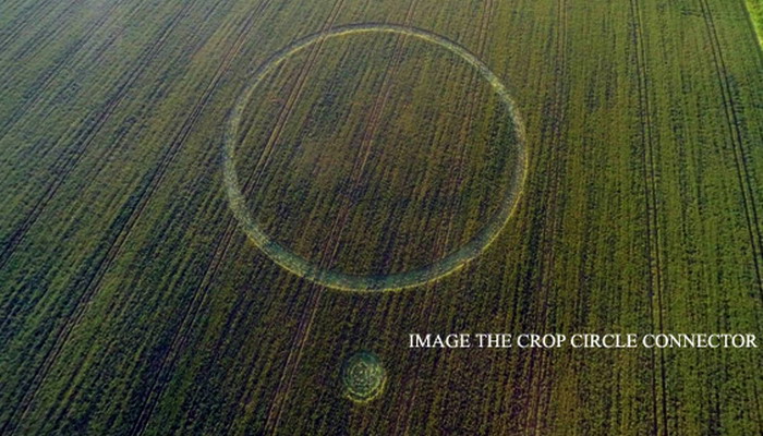 Crop circles 2016 - Página 2 Anicro1