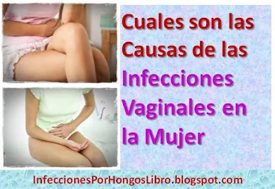 cuales-son-las-causas-de-infecciones-vaginales-en-la-mujer-remedios-caseros-naturales