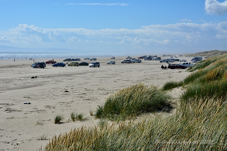 Two Go Tiki Touring Oreti Beach One Fine Day