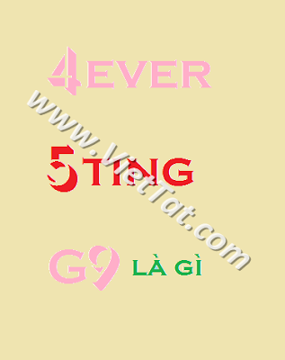 g9 5ting 4ever có nghĩa là gì
