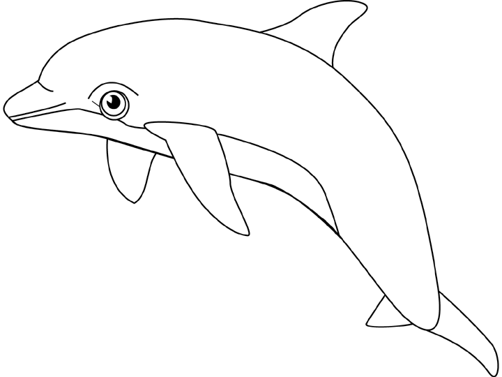 Dolphin Coloring Pages title=