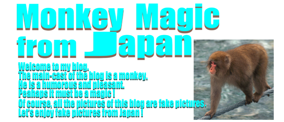 Monkey Magic from JAPAN