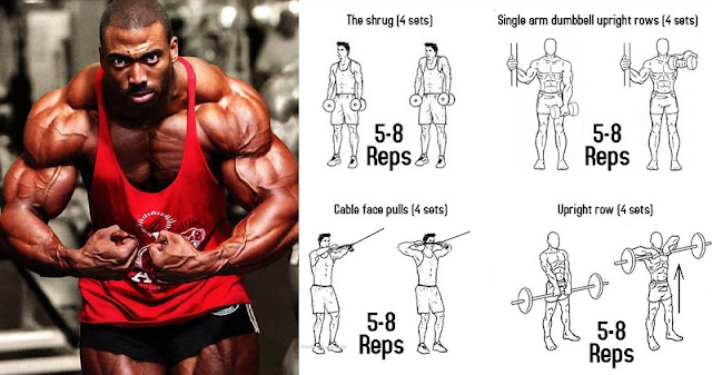 Build Huge Trapezius Muscles With New Trap Exercises build-huge-trapezius-muscles-with-new-trap-exercises