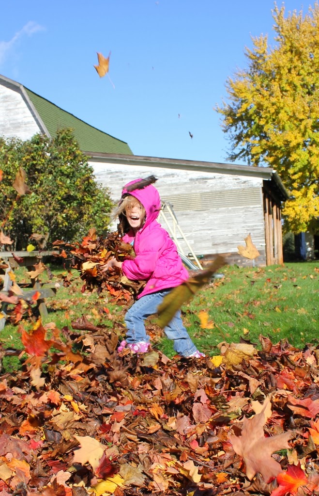 Lookin' Up Happy Winds Day