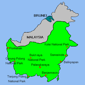 Ditemukan Spesies Baru di Jantung Kalimantan Rohis Facebook