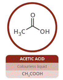acetic acid, found in vinegar