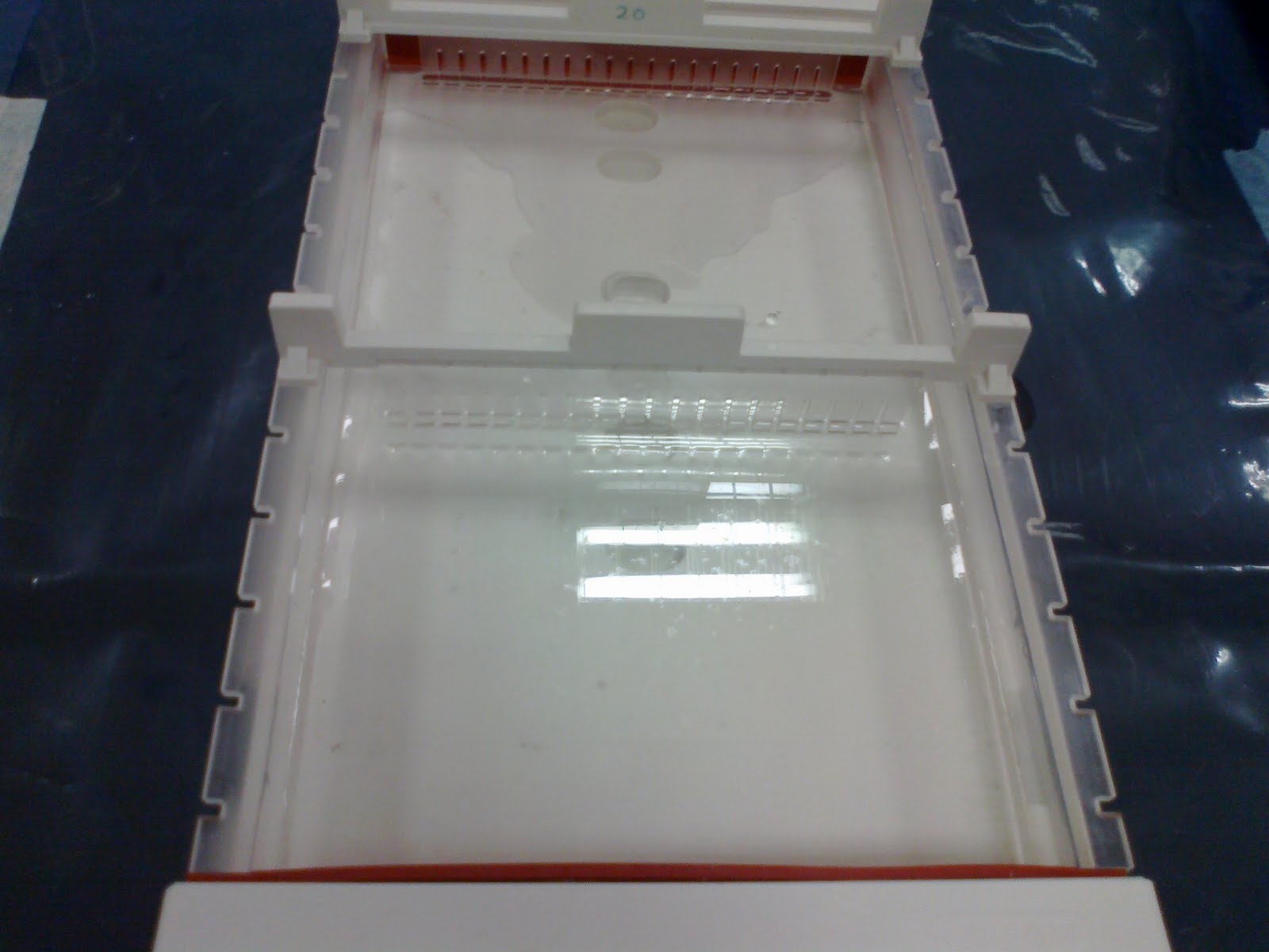 SHERYNA Preparation of Agarose gel