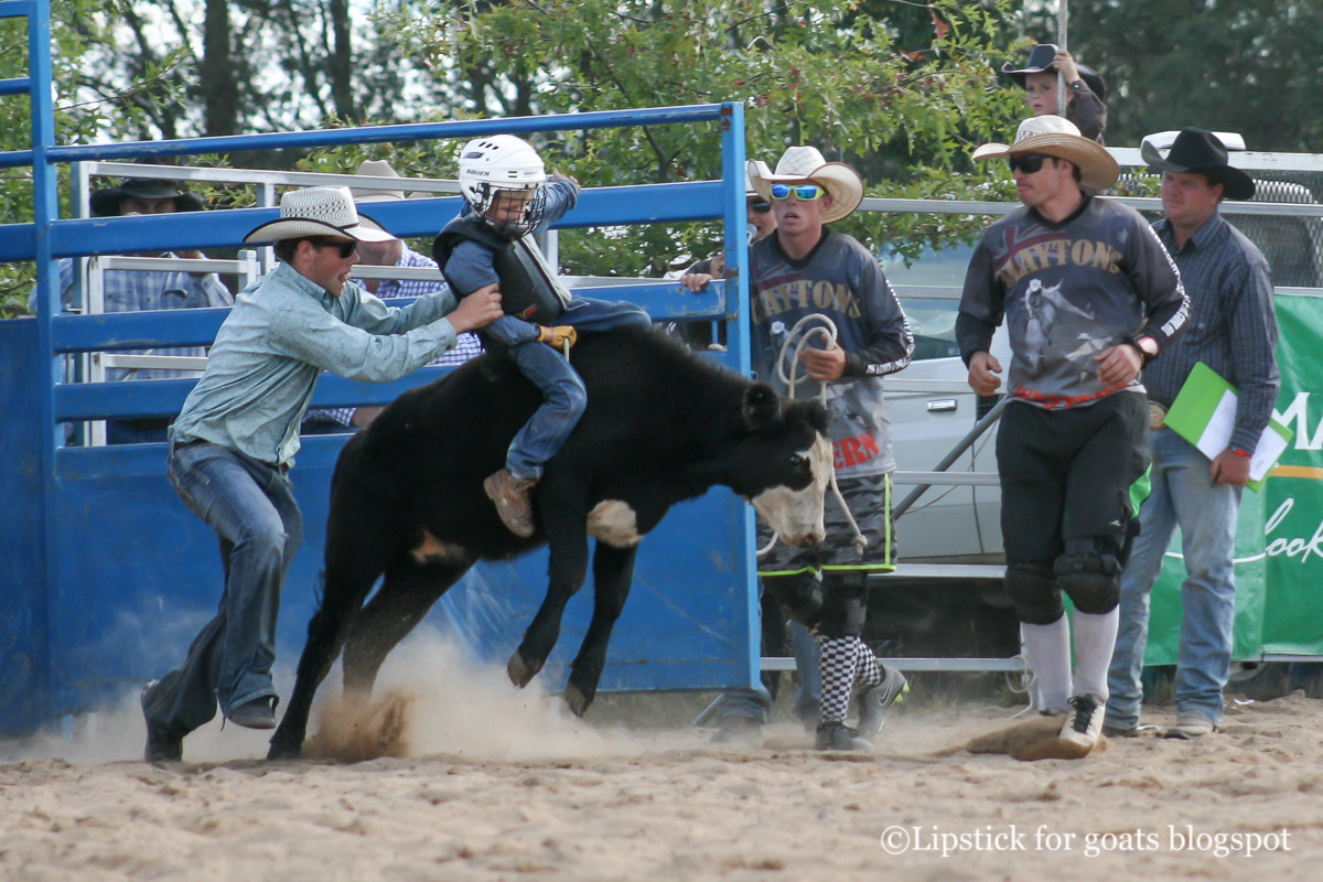 Lipstick for Goats: Braidwood Rodeo - Ride 'em Cowboy!