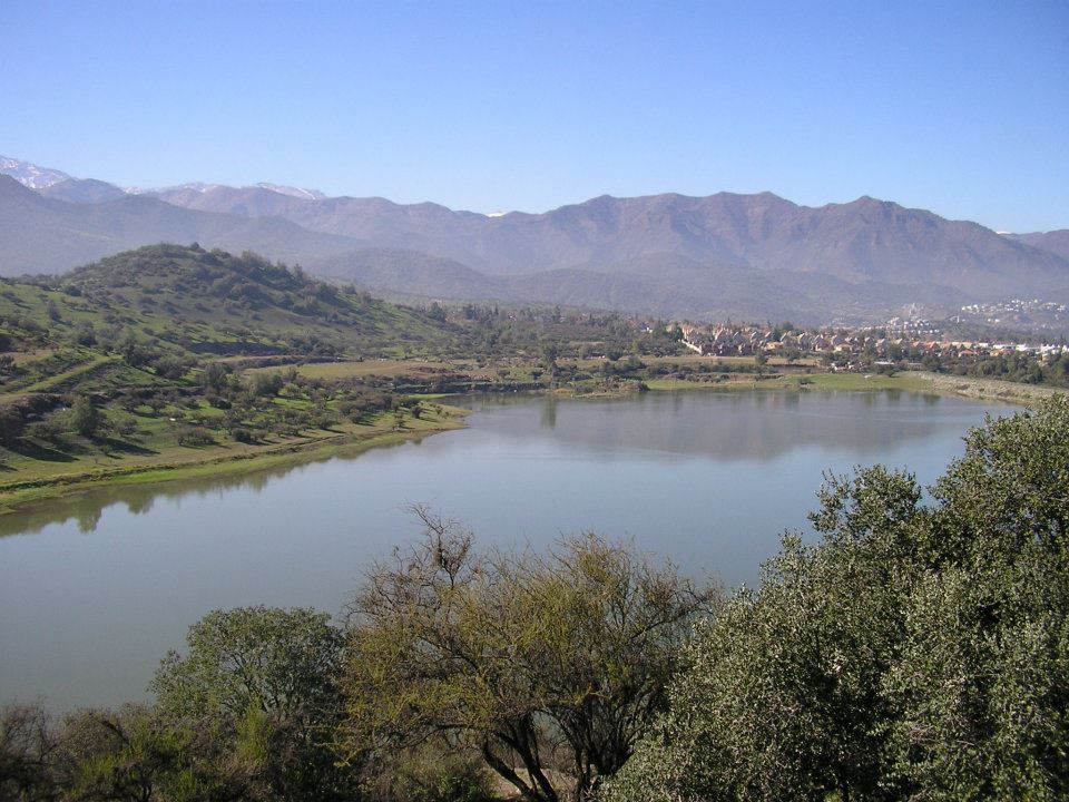 especies chilenas El Tranque La Dehesa El Lago