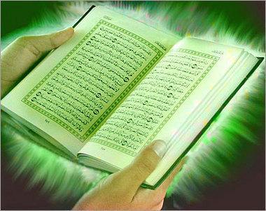 الشيخ بن خليفة ما هي الشجرة الملعونة في القرآن