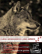 Curso Monográfico Lobo en Diciembre