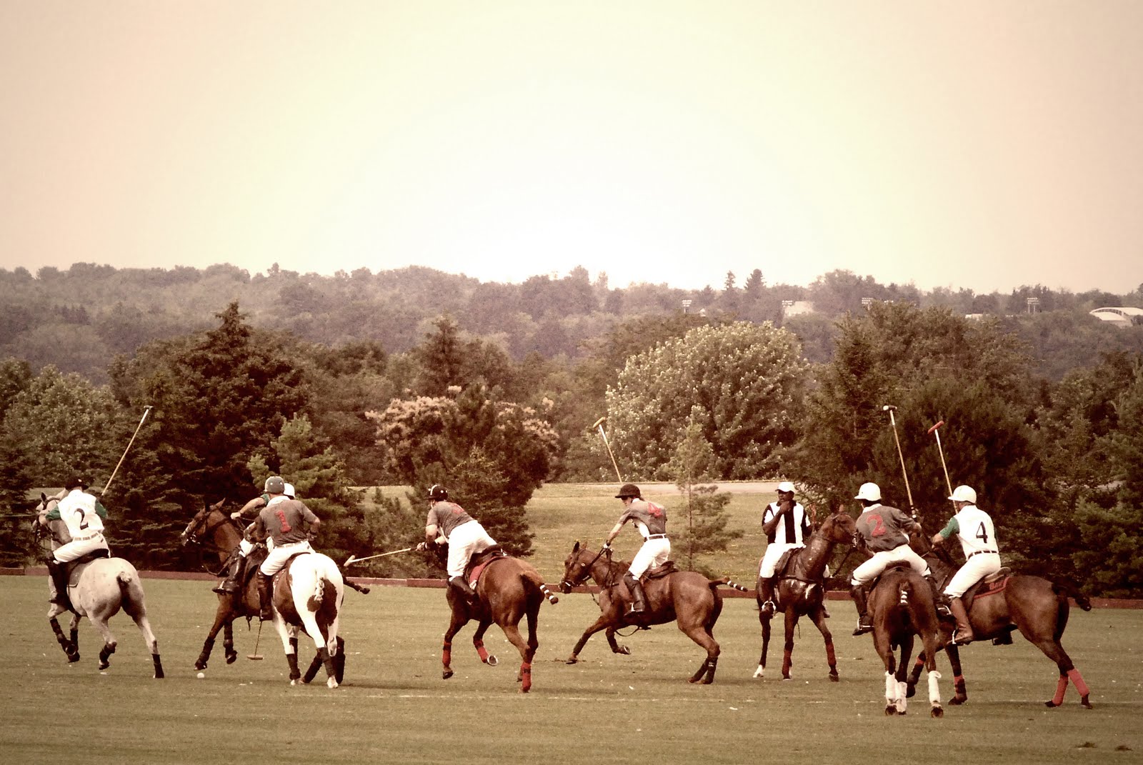 Brittian Grace Photography Skaneateles Polo Game