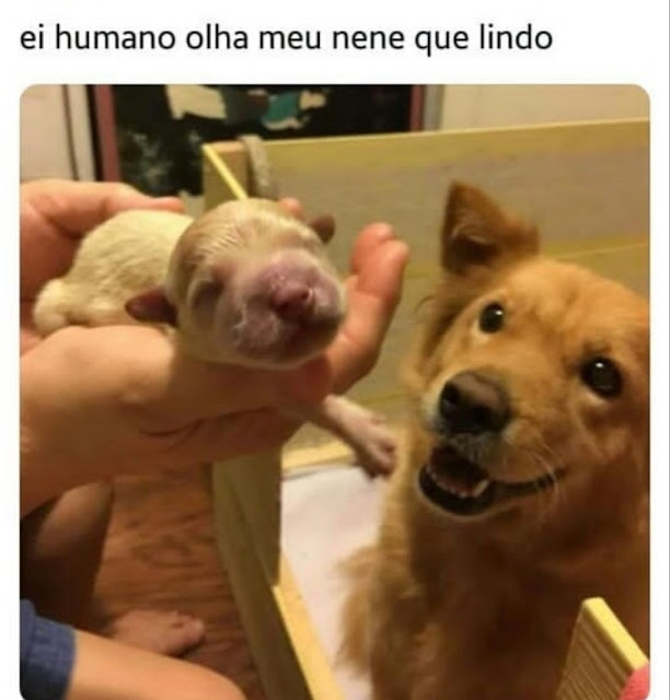 menes+engra%25C3%25A7ados+%252813%2529.j