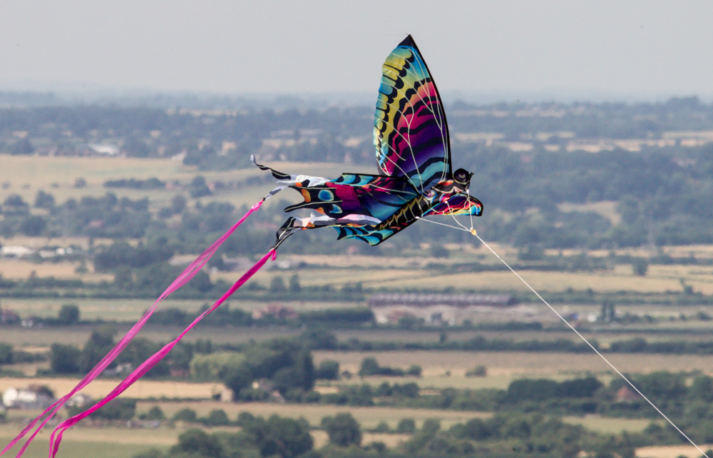 Ann Miles Photography Kite Festival Dunstable