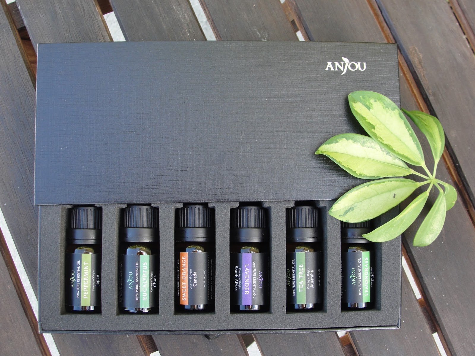 Anjou Aromatherapy Diffuser & Essential Oils Set