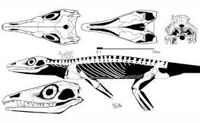 prehistoric synapsid fauna