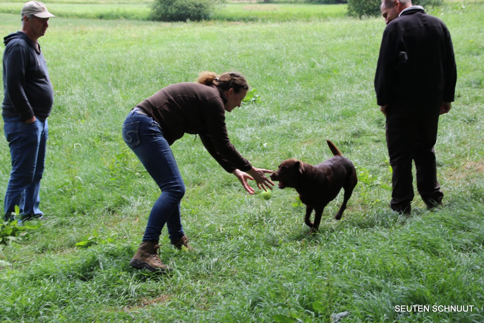 Seuten Schnuut Labradore