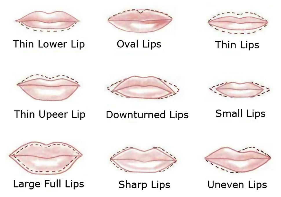 Different Lip Shapes Chart