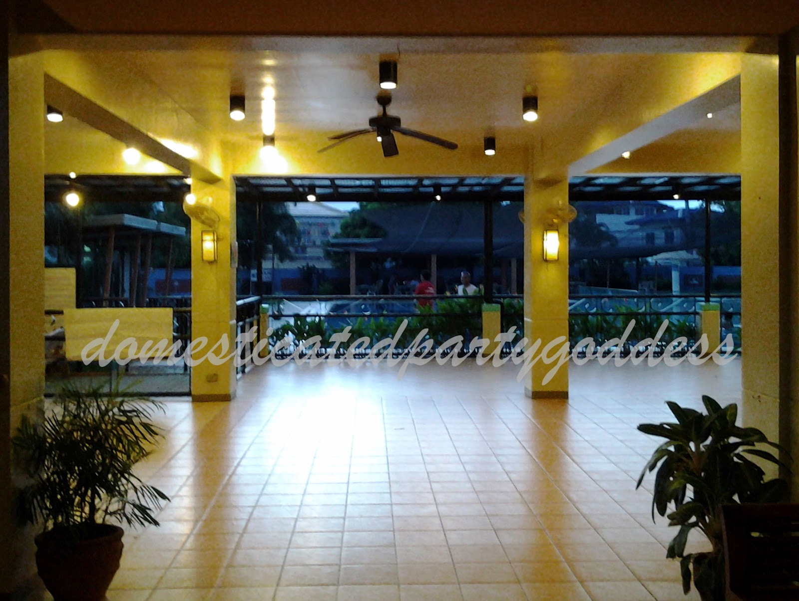 Domesticated Party Goddess Party Venue Village East Clubhouse