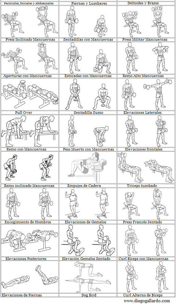 Tabla Ejercicios Rutina De Triceps Y Biceps Rutina Pecho Espalda