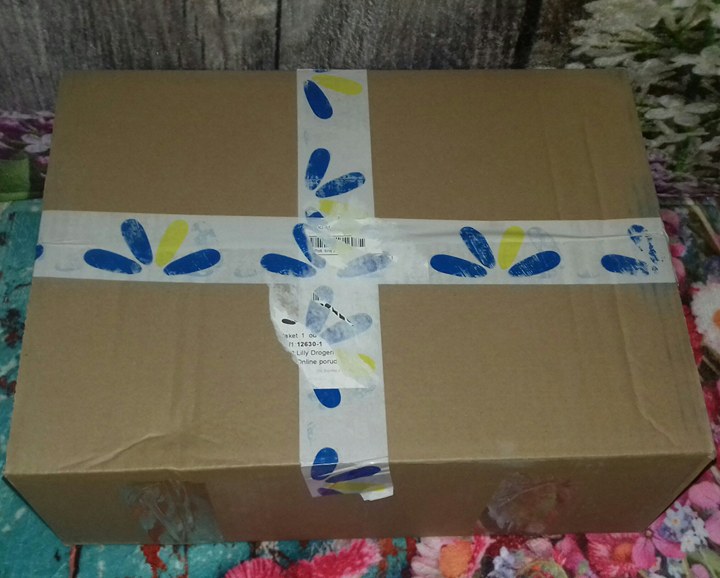 Sa kozmetikom na ti Moje iskustvo sa Lilly online