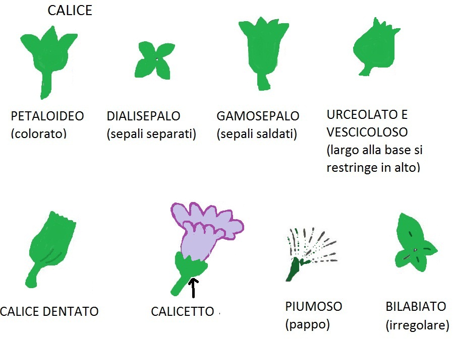 Il Giardino della Terra FIORE Il Giardino della Terra FIORE