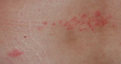 the (mis) adventures of penelope and mendacious: do not look: warning ...