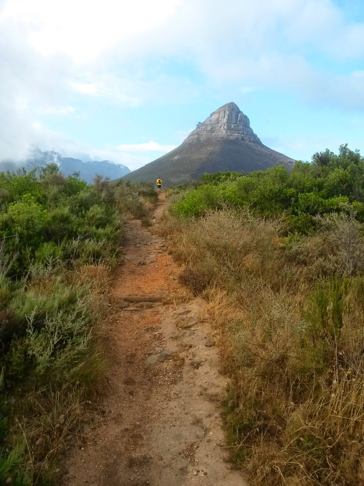 Signal Hill Trail Run