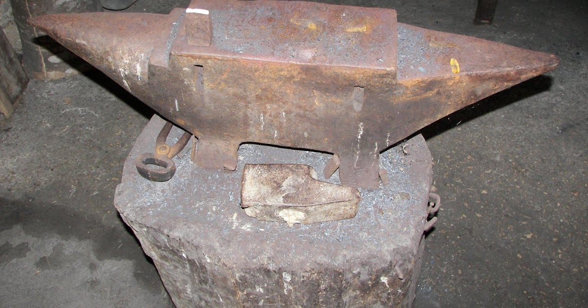 Caractéristiques des Mammifères Définition, Types et Caractéristiques des Mammifères Définition, Types et