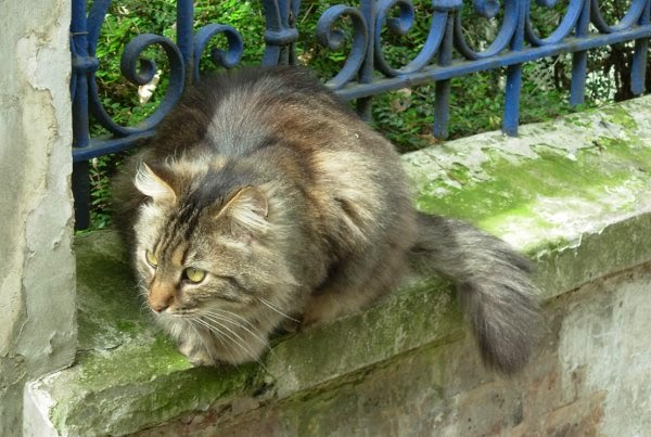 modele profil rencontre