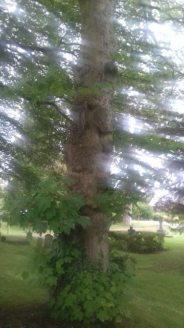 Cawlyd/United/1st June 2018/20180601_130351.jpg