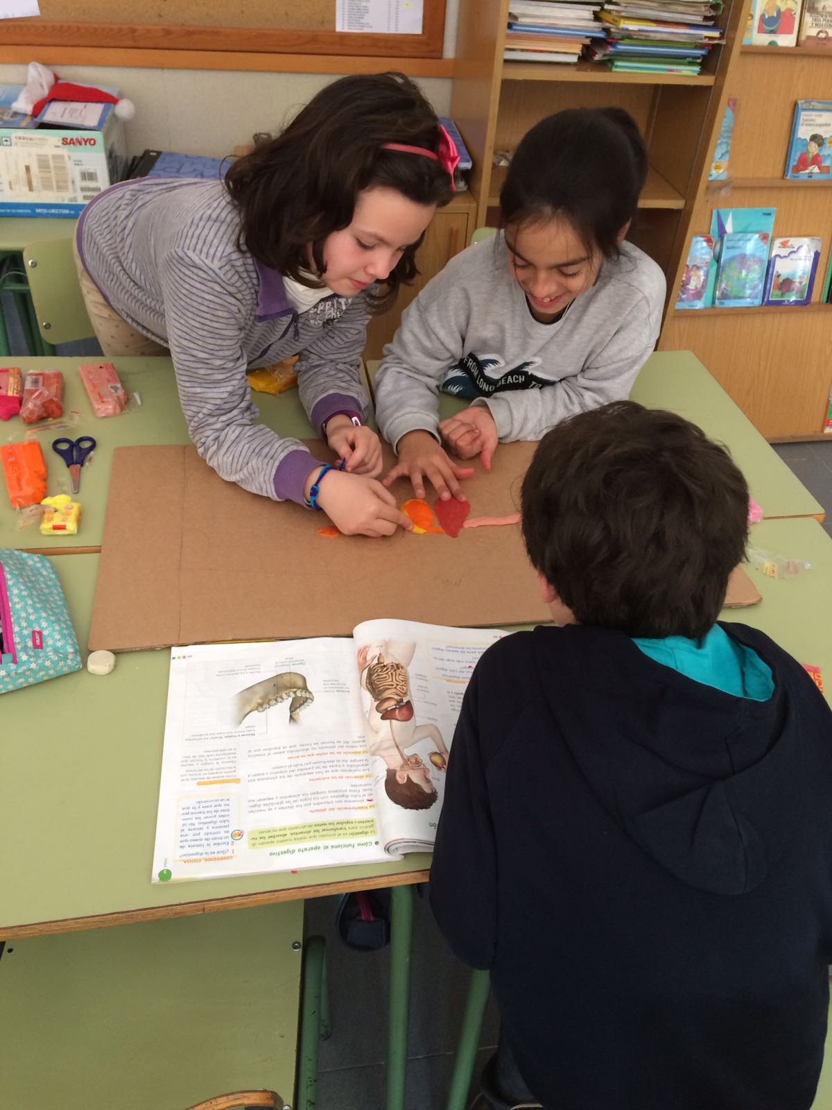 SCIENCE IN THE SCHOOL How human body works?