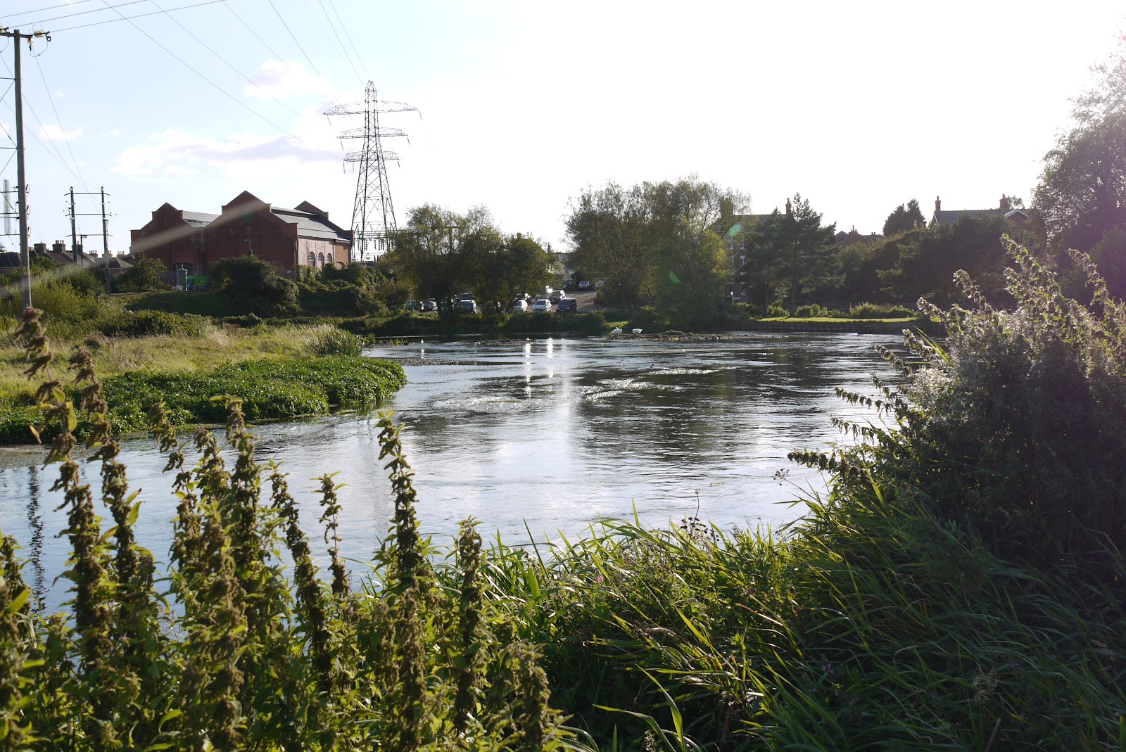 James' Angling Adventures. Hampshire Avon (Royalty
