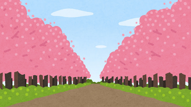 bg_namikimichi1_sakura.jpg (800×450)