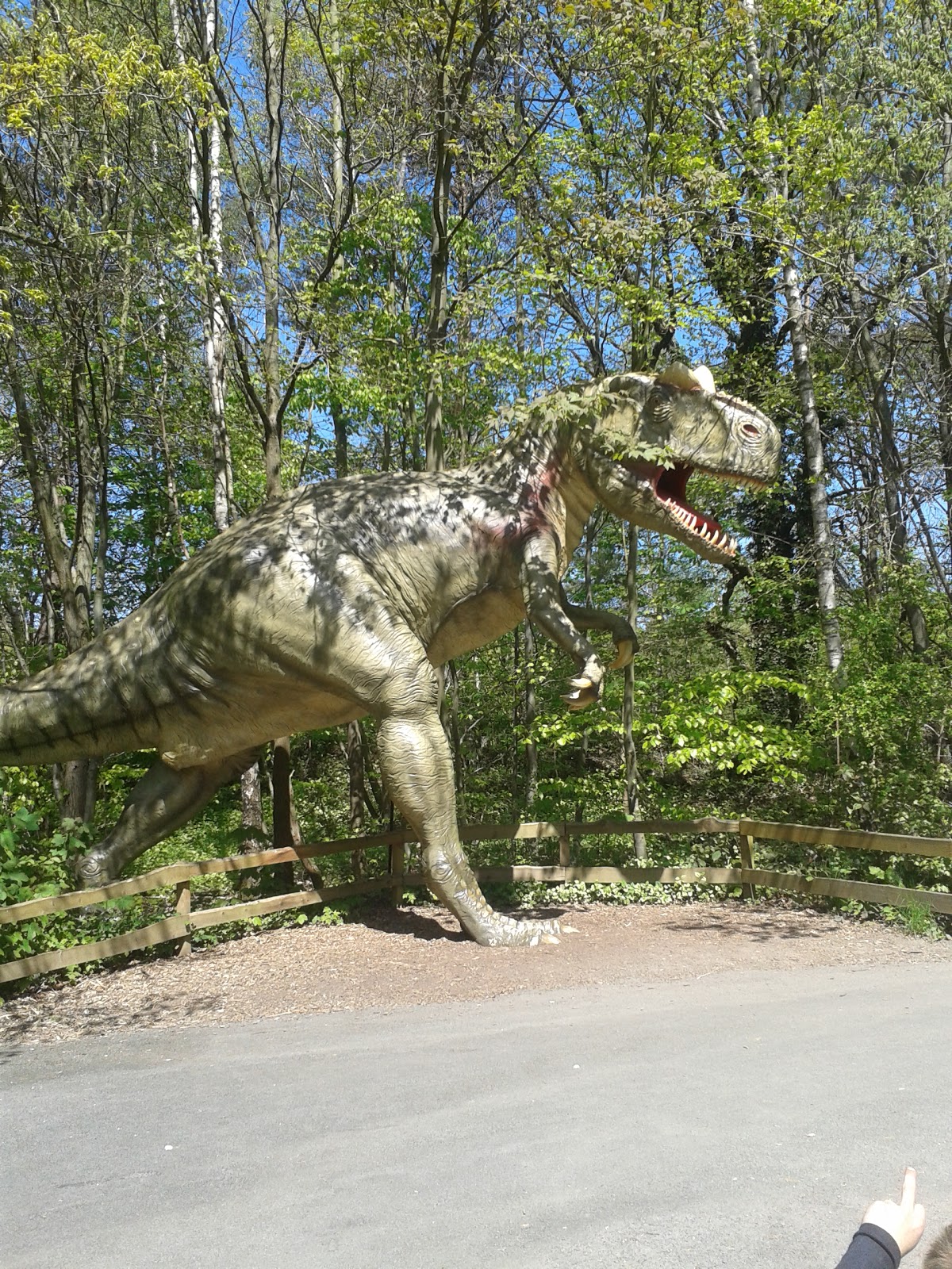 Family, life, love & cooking: Unser Ausflug in den Dinopark Münchehagen Family, life, love & cooking: Unser Ausflug in den Dinopark Münchehagen