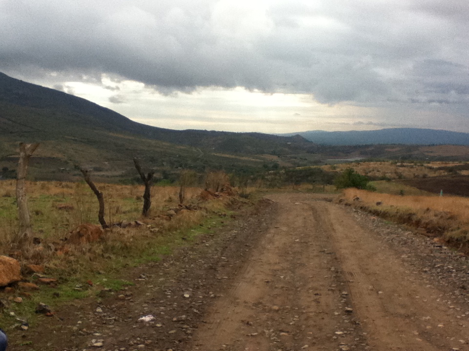 CANSALIEBRES Sierra de Pénjamo Guanajuato