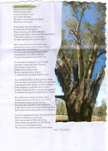 Ode to a Red River Gum