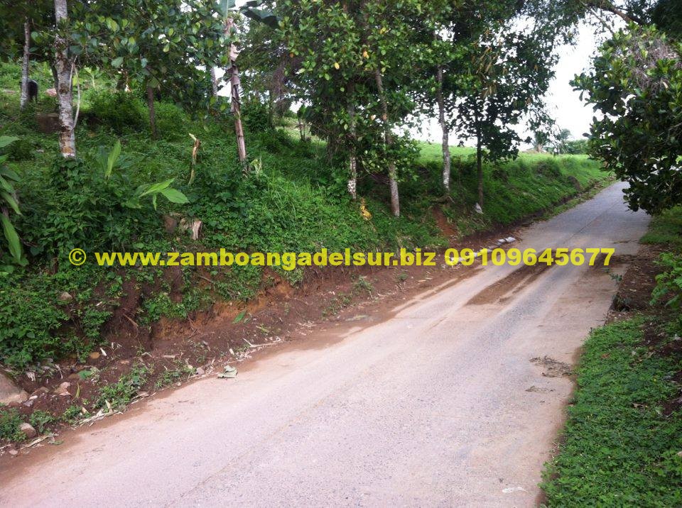 Zamboanga del Sur Properties FOR SALE 1 HECTARE LOT AT PAGADIAN CITY