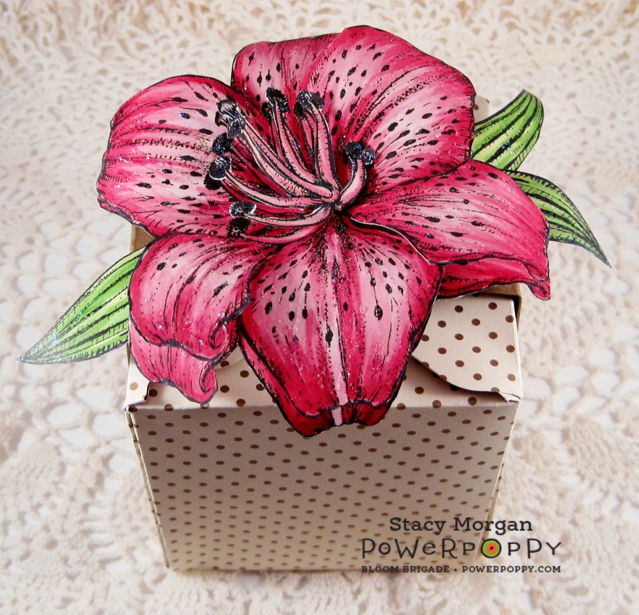 Twinshappy Tiger Lily Gift Box Tutorial