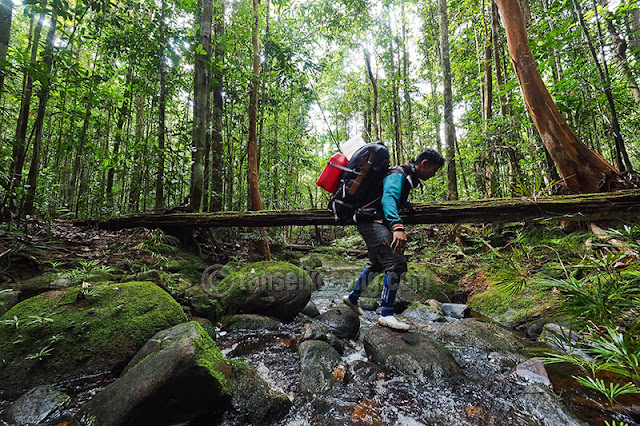 Gunung Beriun, Beriun, Kutai Timur, Karst Sangkulirang Mangkalihat, Puncak Beriun, Beriun Raya, Puncak Gunung Beriun, Karst Sangkulirang, Karst Mangkalihat, Sungai Marak, Karst Ara Raya, Karst Tutunambo, Kabupaten Berau, Sangatta, Epikarst, Perikarst, Kalimantan Timur, Subkarst, Karst, Hutan Kalimantan, Hutan Tropis, Karst Tondoyan, Puncak Gunung Beriun, Black Borneo Expedition, Eiger, Merabu, Karst Merabu, Karst, Pindi Setiawan, Mamay S Salim, Djukardi Adriana, Kang Bongkeng, Kang Mamay, Iwan Irawan, Kwecheng, iwan Kwecheng, Yunaidi Joepoet, Galih Donikara, Dayak Basap